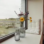 Maison Coucou Hébergement de vacances Thuin