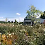 بيت للعطل Maison Coucou Thuin